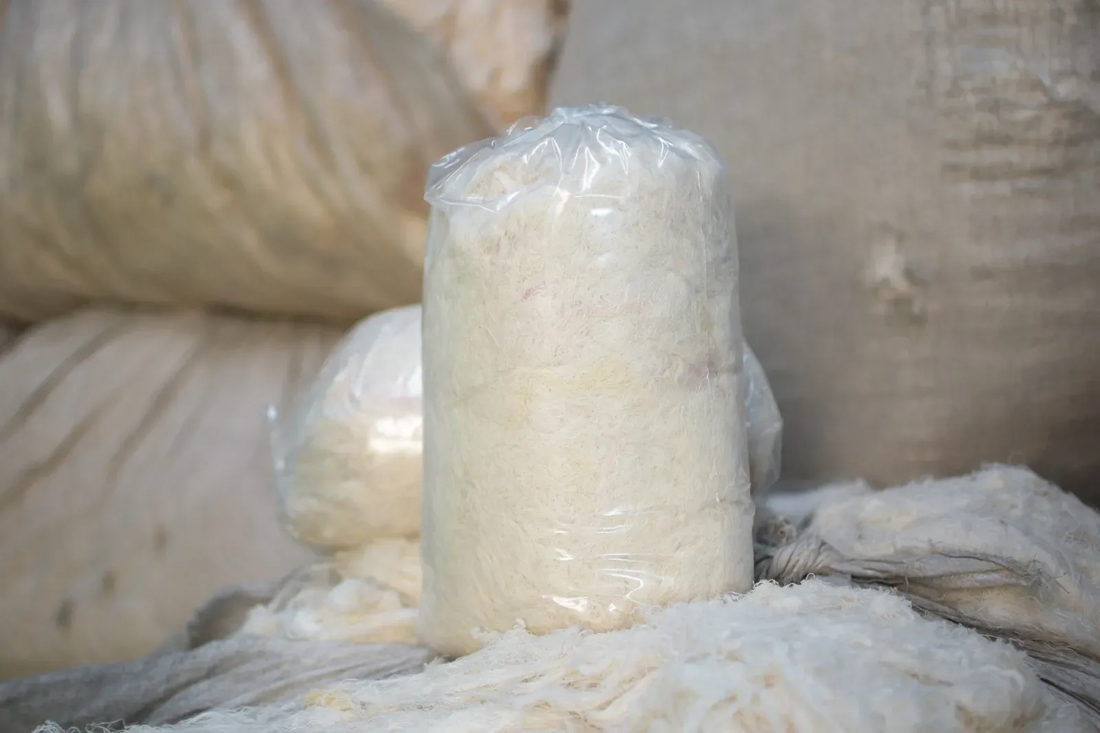 Estopa Blanca B — imagen 1