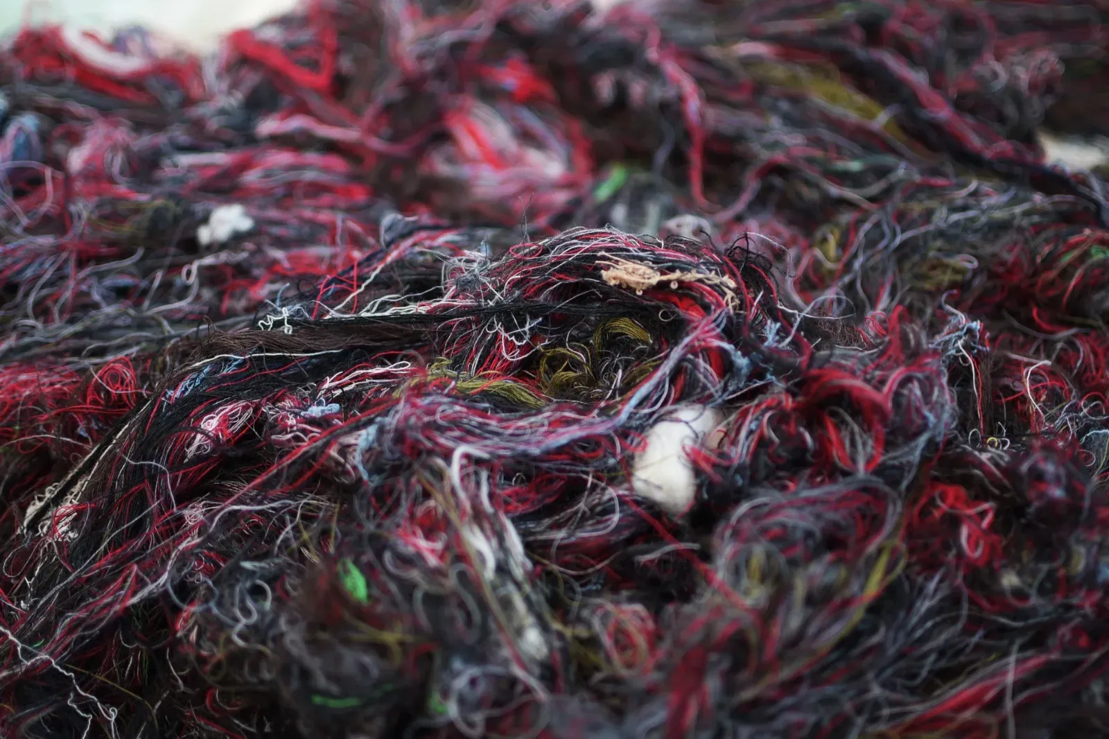 Estopa de Color — imagen 2